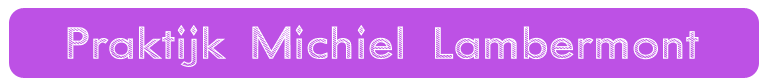 Praktijk Michiel Lambermont